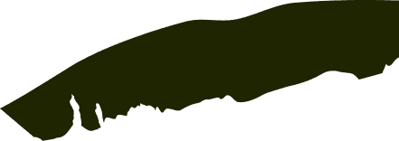 HERO_BRUSH_LOWER